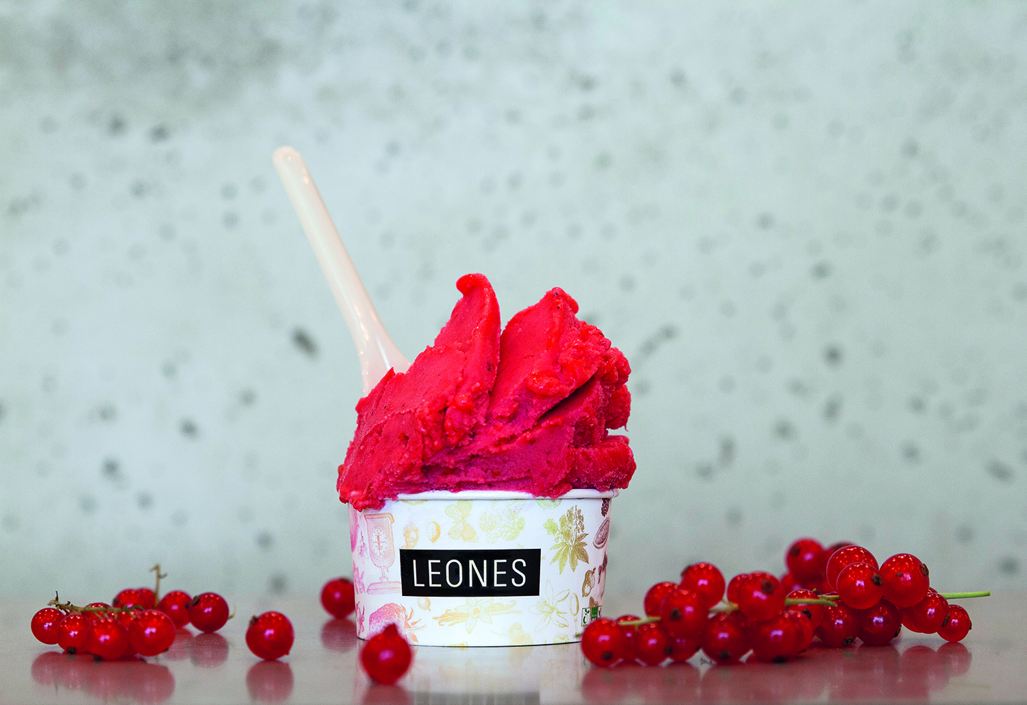 Leones-Ribisel©Leones